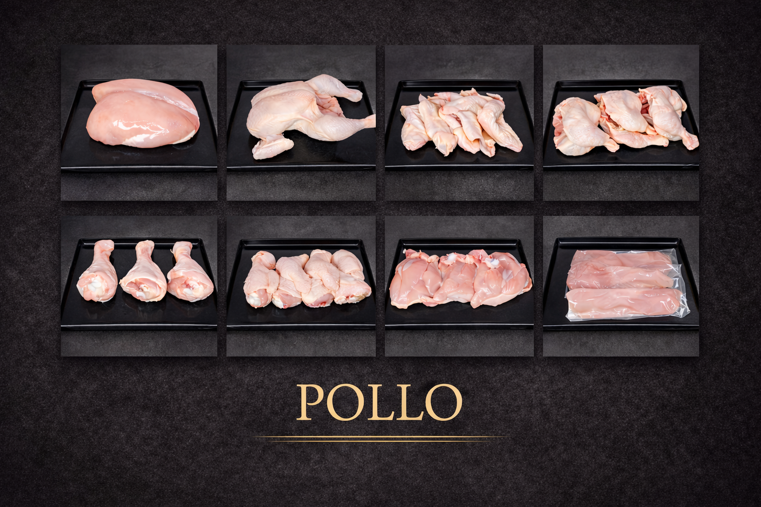 POLLO