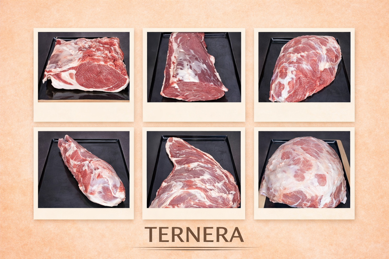 TERNERA