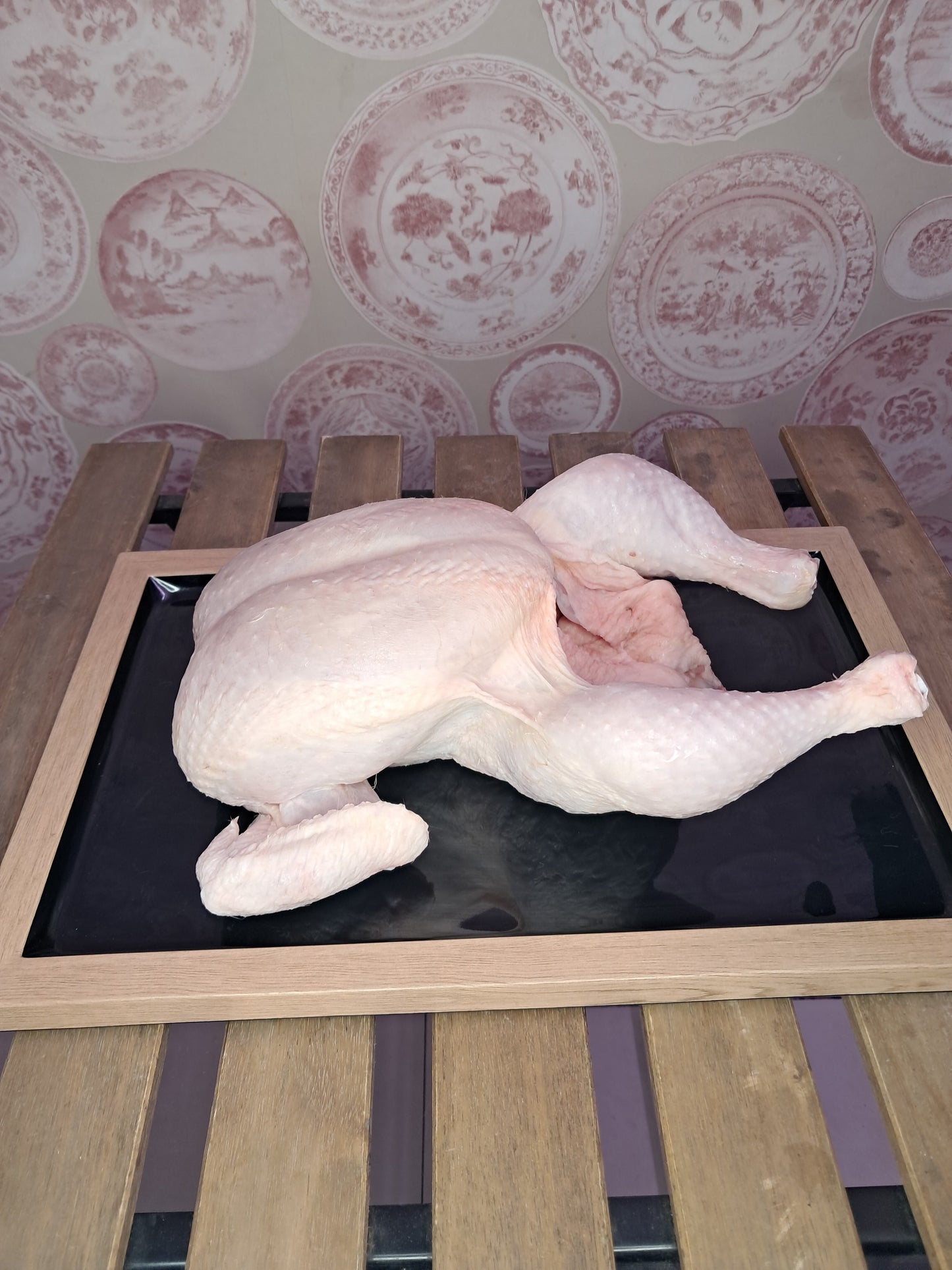 Pollo